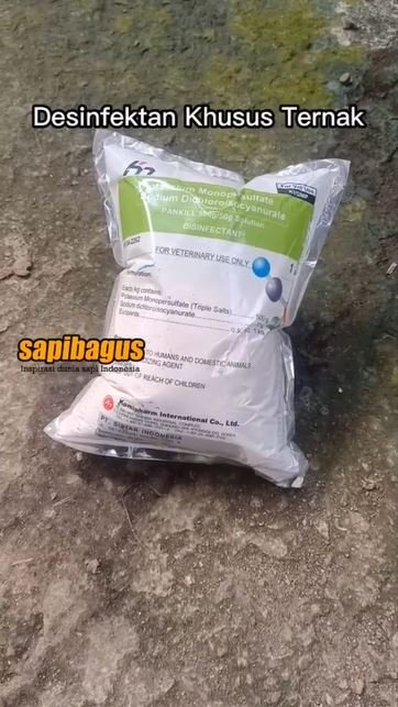 Desinfeksi-Area-Kandang-Sapi